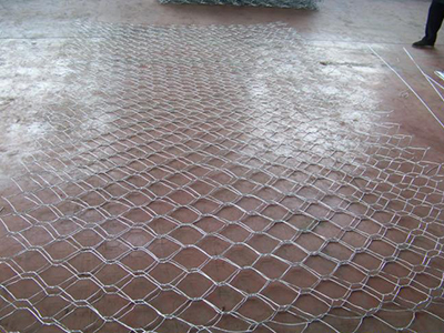 ʯ�\�W(w��ng)