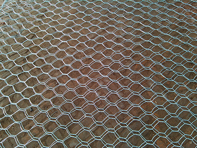 ʯ�\�W(w��ng)