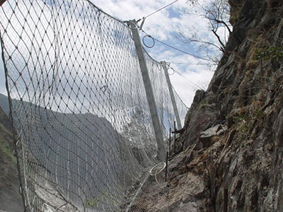 ����(d��ng)���o(h��)�W(w��ng)